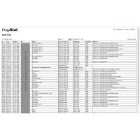 CrazyStat Screenshot - Presets