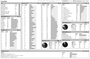 Screenshot der Besucher-Statistik